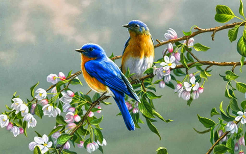 Ausführlich mit mehr als 105 der erstaunlichsten Vogeltapeten thdonghoadianeduvn