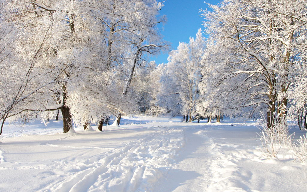 100 Hình nền ảnh mùa đông đẹp full HD cho máy tính điện thoại
