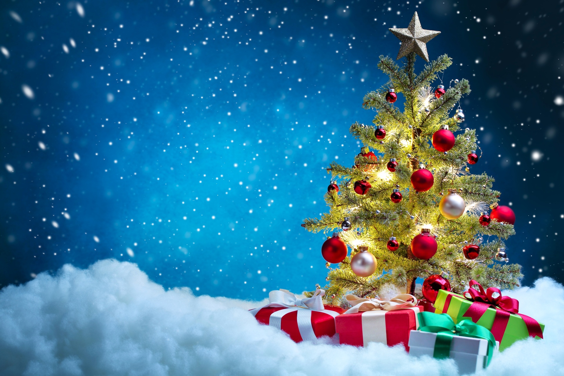 Vietinfo Vì sao cây thông Noel luôn là biểu tượng cho sự vĩnh hằng của sinh mệnh