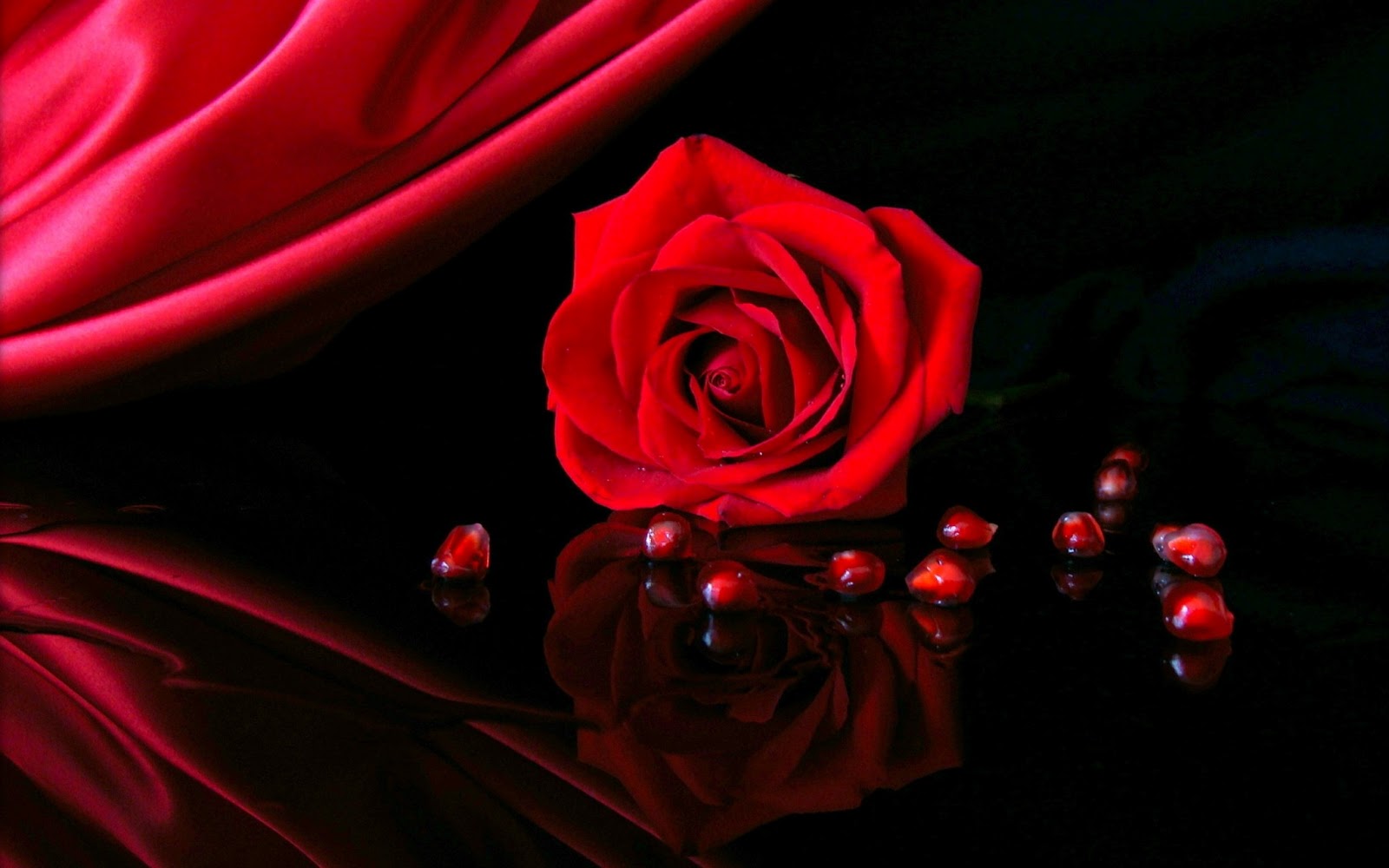 99 hình ảnh hoa hồng tình yêu đẹp ngọt ngào lãng mạn nhất
