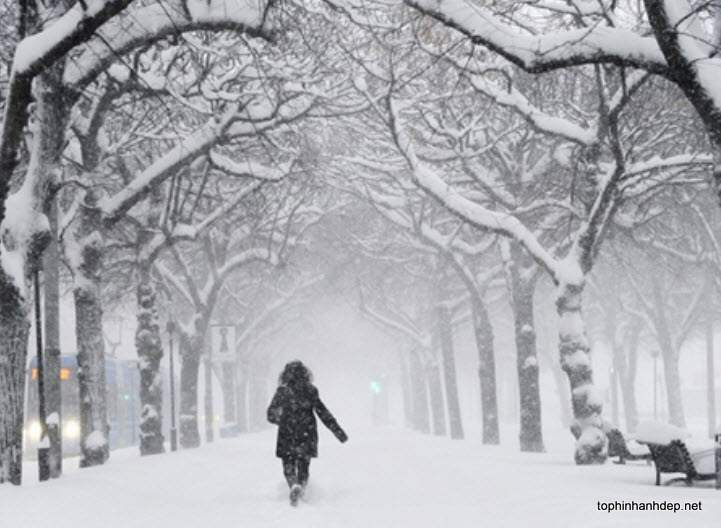 50 hình ảnh thiên nhiên mùa đông buồn lạnh lẽo băng giá