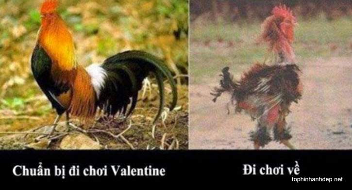 anh-che-fa-ngay-valentine (3)