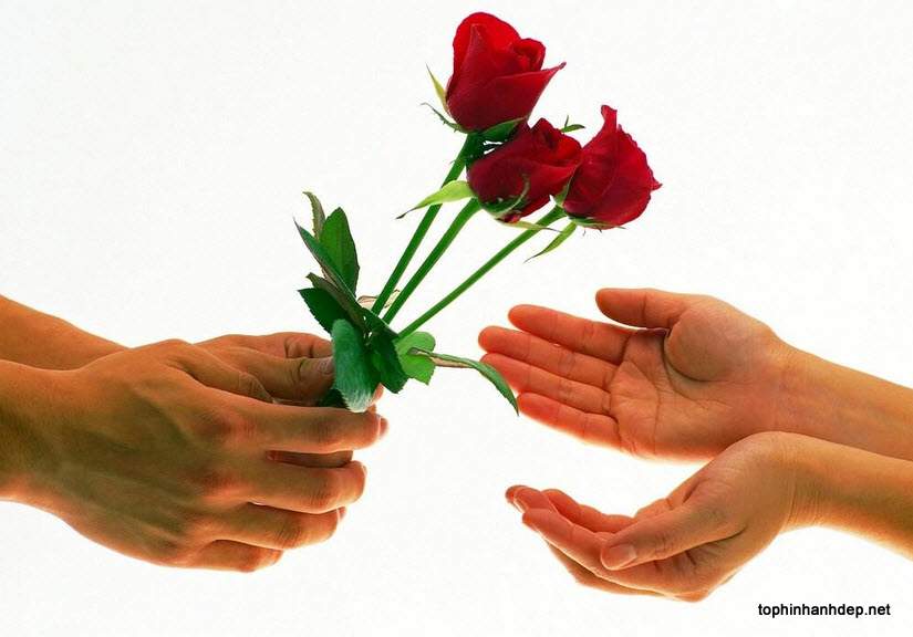 Hình ảnh hoa Valentine dành tặng bạn gái trong ngày lễ tình nhân