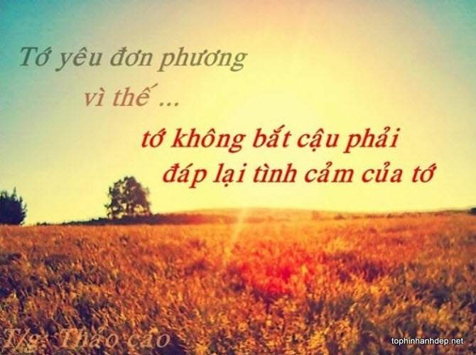 nhung-cau-noi-hay-ve-tinh-yeu-don-phuong (4)