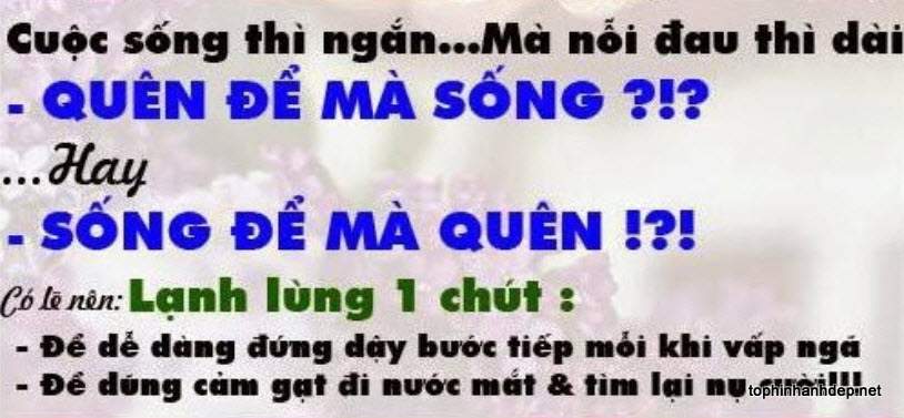 hinh anh buon ve cuoc song 8