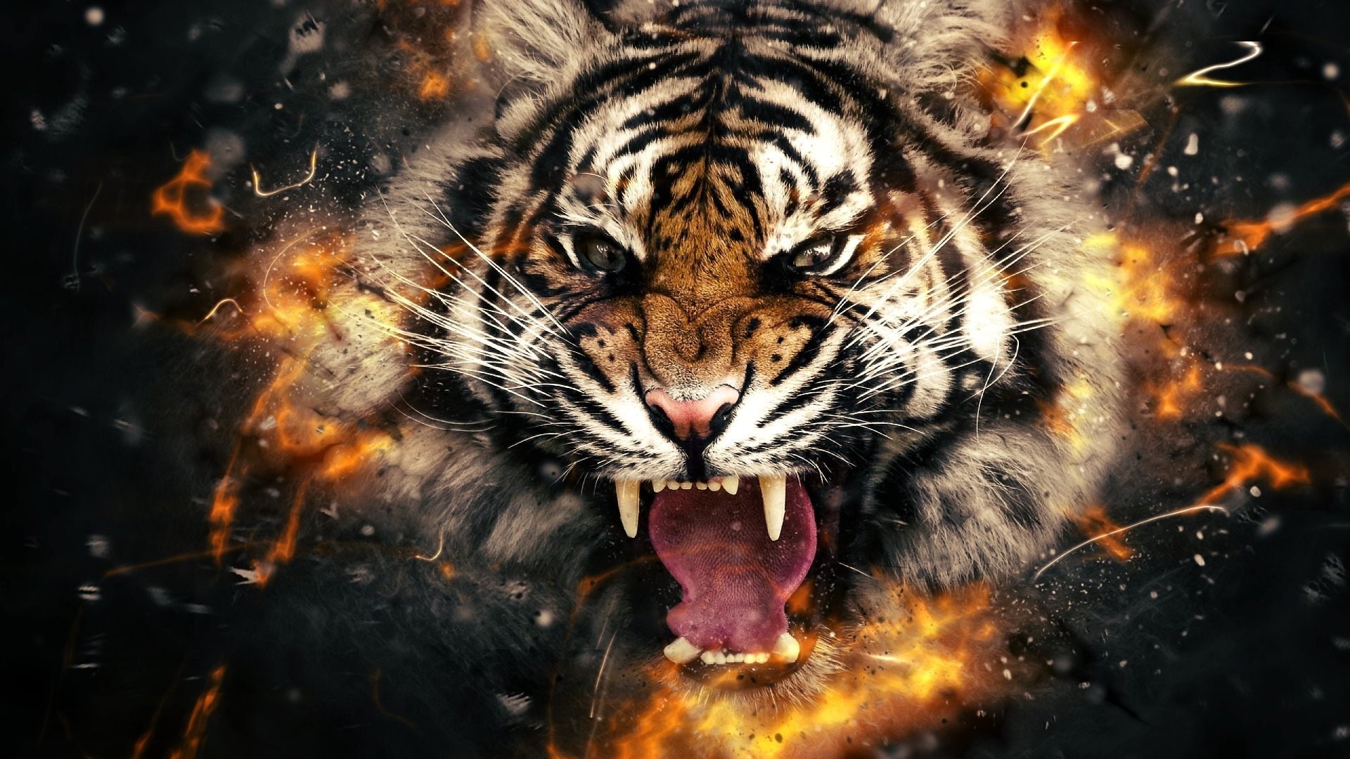 Hình nền 3D con hổ