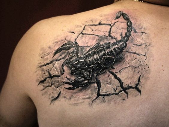 35 hình xăm bọ cạp đẹp nhất với hoa văn nghệ thuật tinh tế