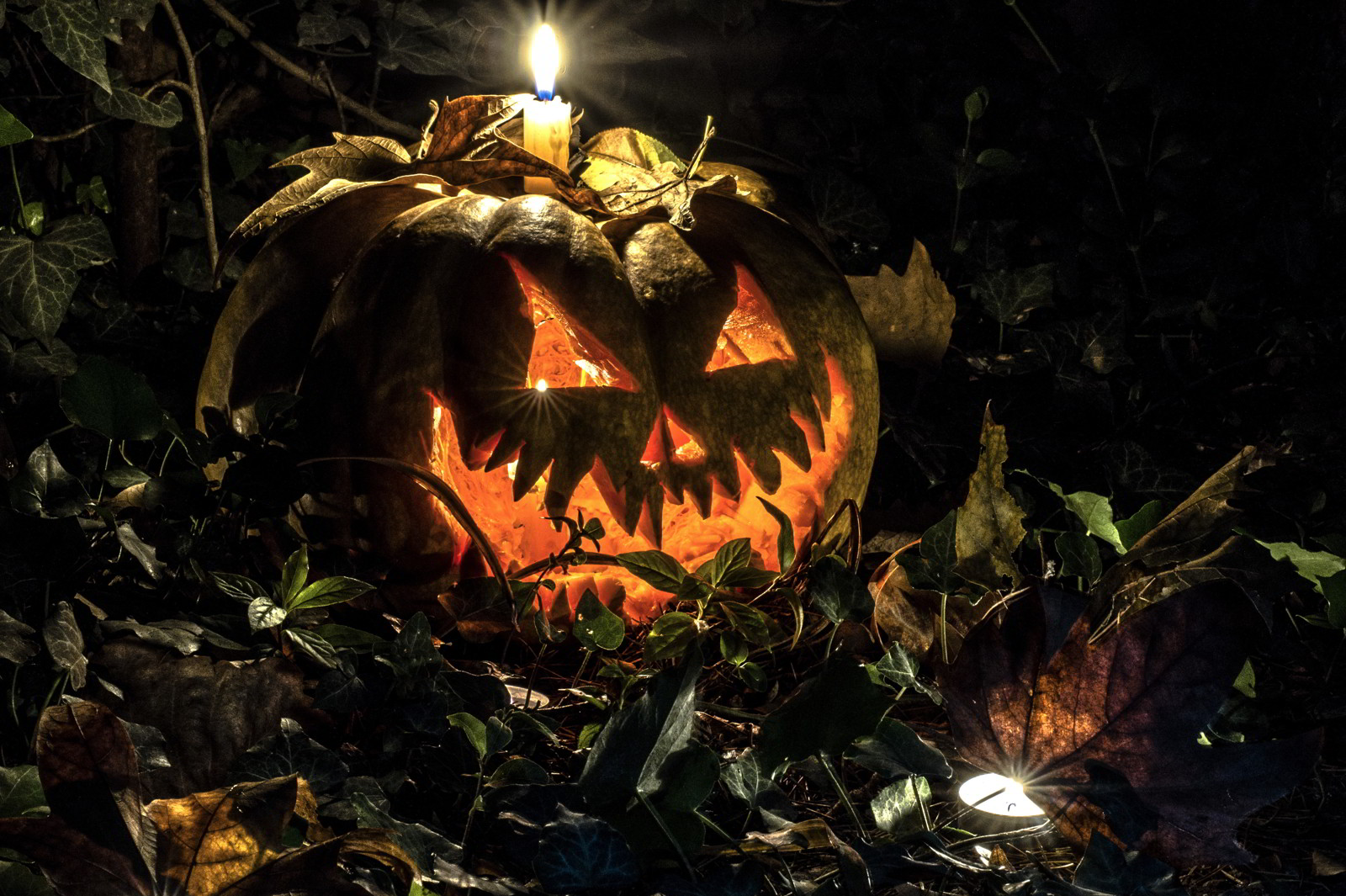 100 Hình ảnh Halloween làm hình nền, ảnh bìa hoặc avatar - Hà Nội Spirit Of Place 3