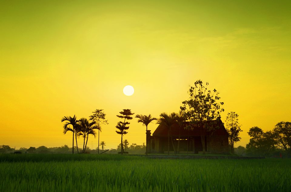 Hình nền đồng quê là lựa chọn hoàn hảo để trang trí cho thiết bị của bạn. Thưởng thức vẻ đẹp quyến rũ của quê hương Việt Nam, với những cánh đồng lúa và những con đường nhân gian. Hãy xem hình ảnh liên quan để có những lựa chọn đẹp mắt nhất.