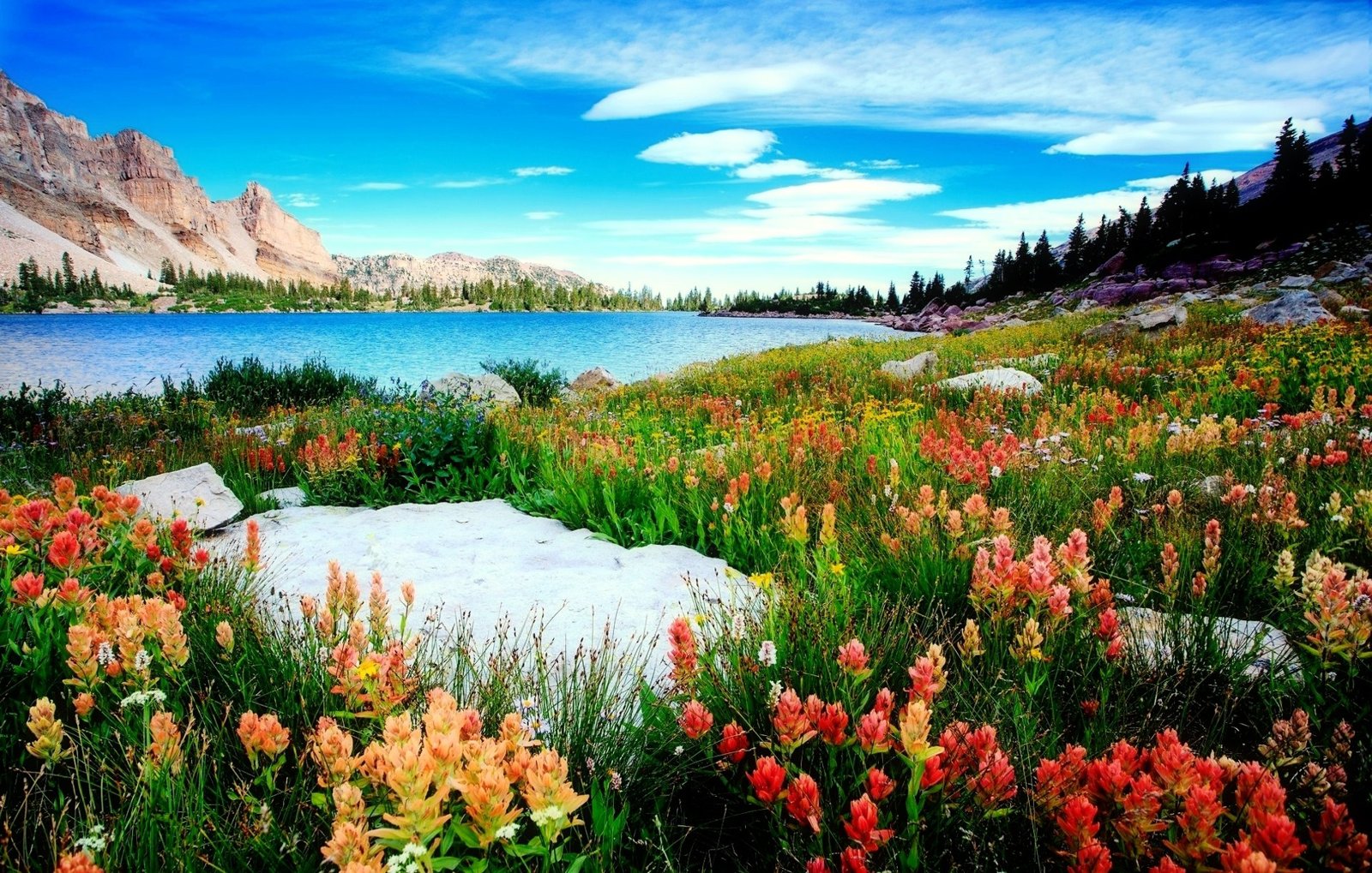 Top 130 hình nền phong cảnh thiên nhiên đẹp nhất thế giới 126