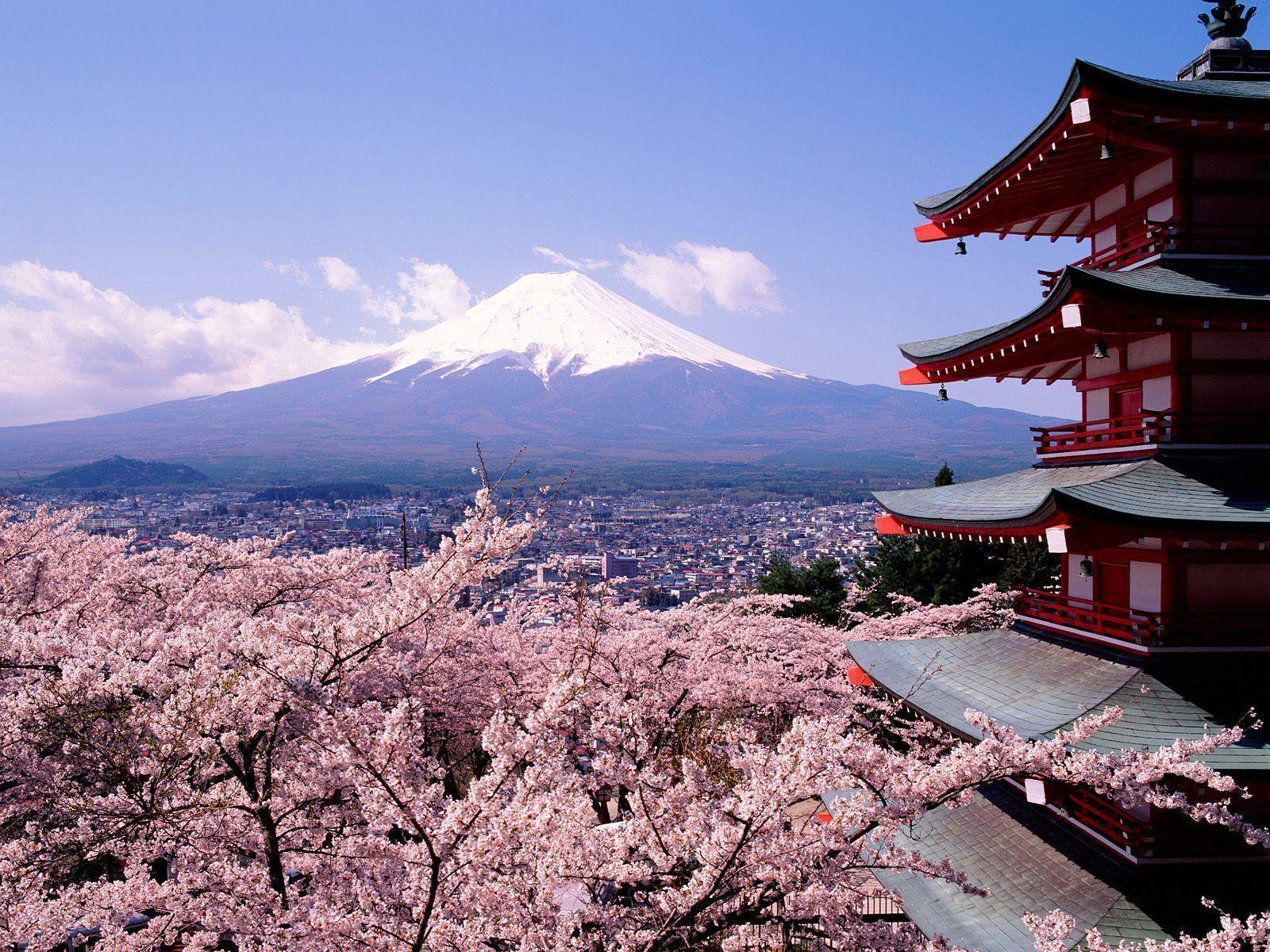 50 Hình nền hoa anh đào đẹp nhất của đất nước Nhật Bản 16