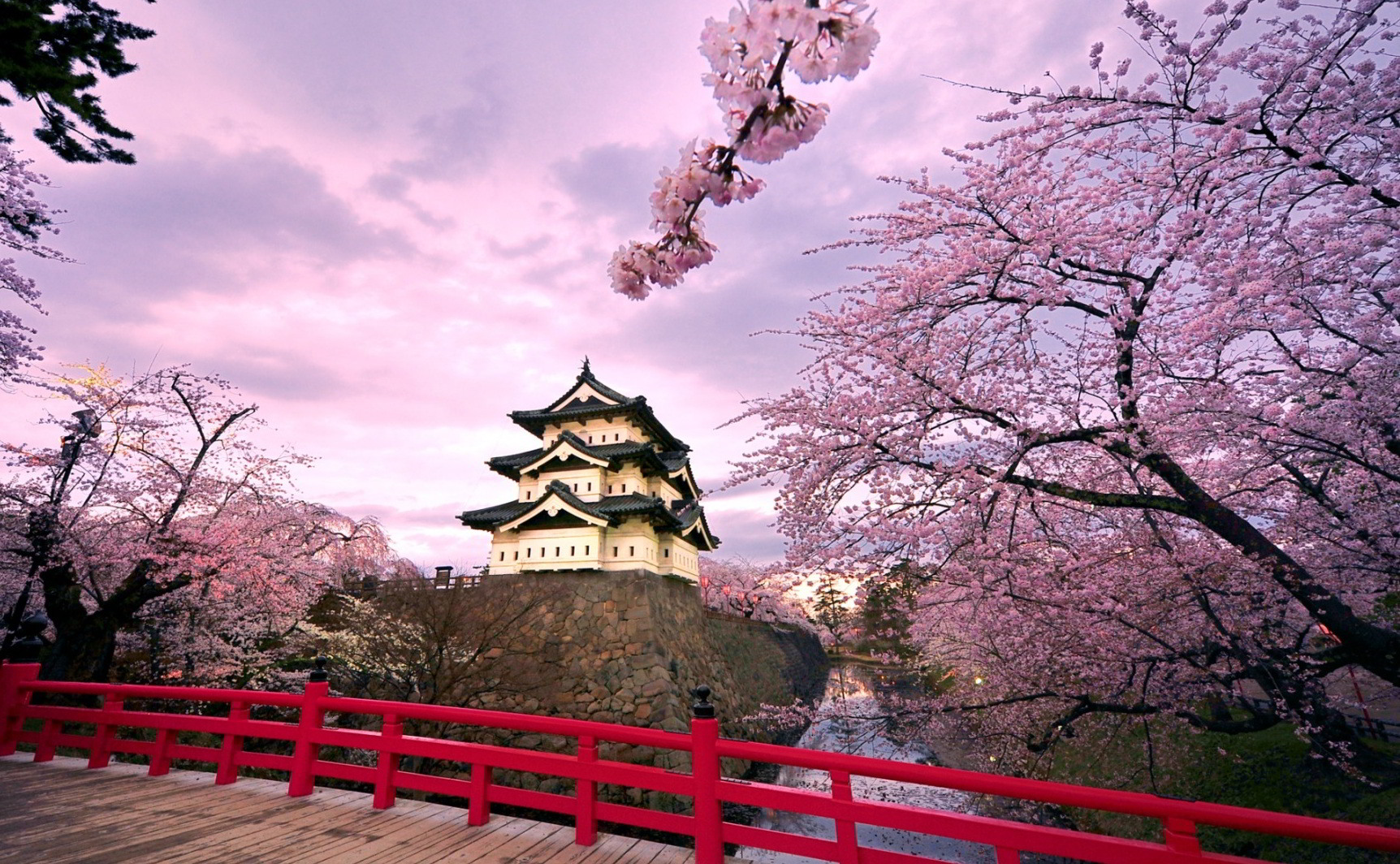 50 Hình nền hoa anh đào đẹp nhất của đất nước Nhật Bản 33