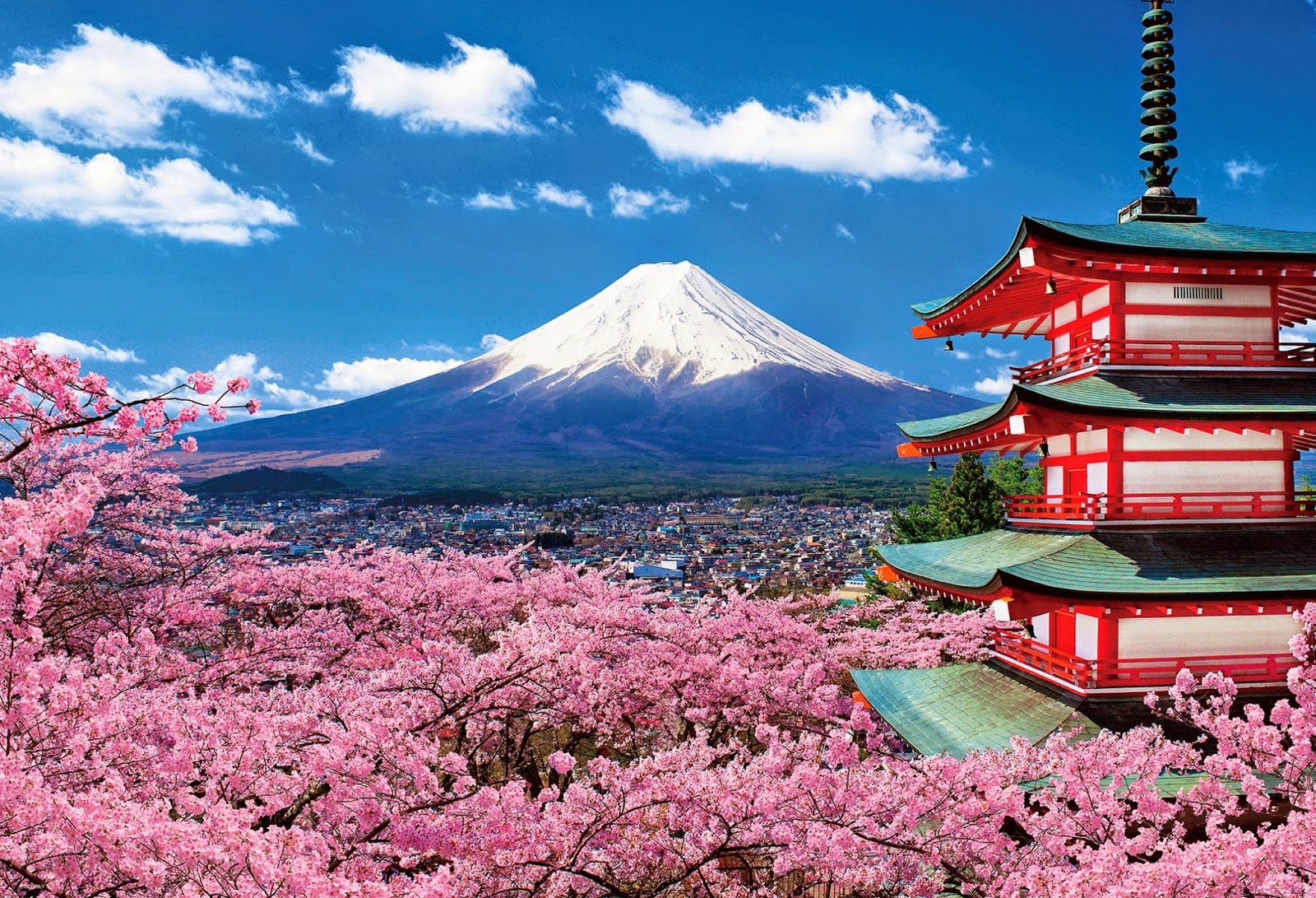 50 Hình nền hoa anh đào đẹp nhất của đất nước Nhật Bản 36