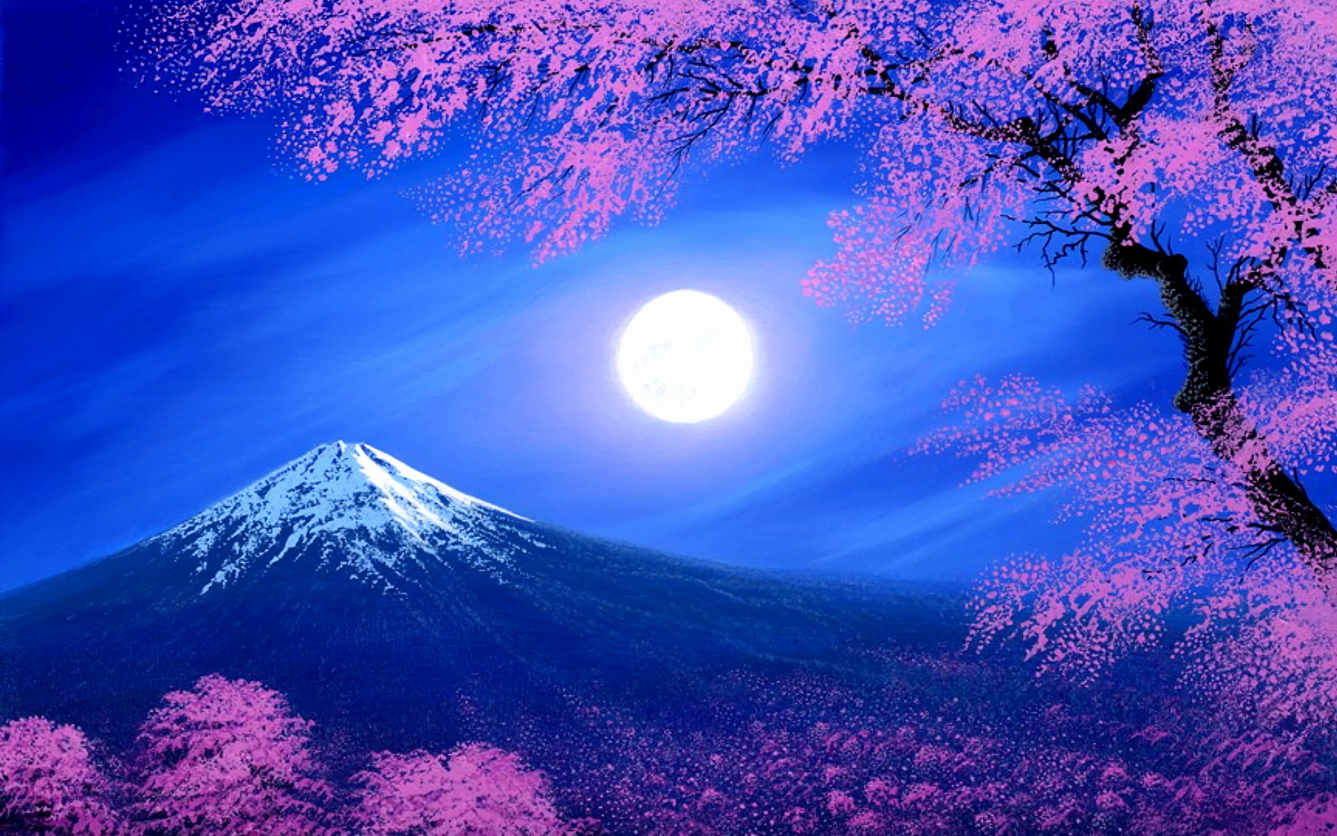 50 Hình nền hoa anh đào đẹp nhất của đất nước Nhật Bản 6