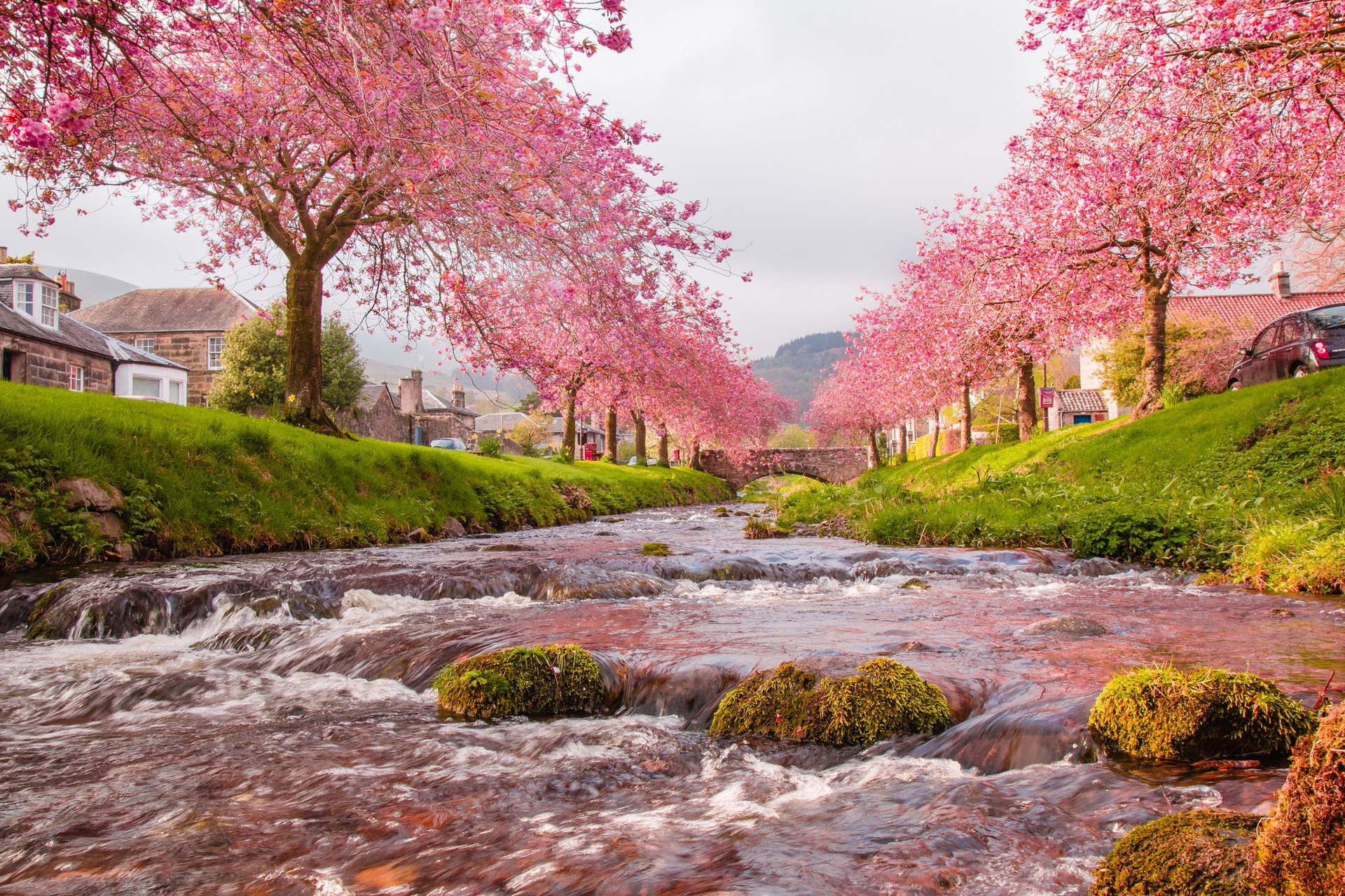 50 Hình nền hoa anh đào đẹp nhất của đất nước Nhật Bản 9