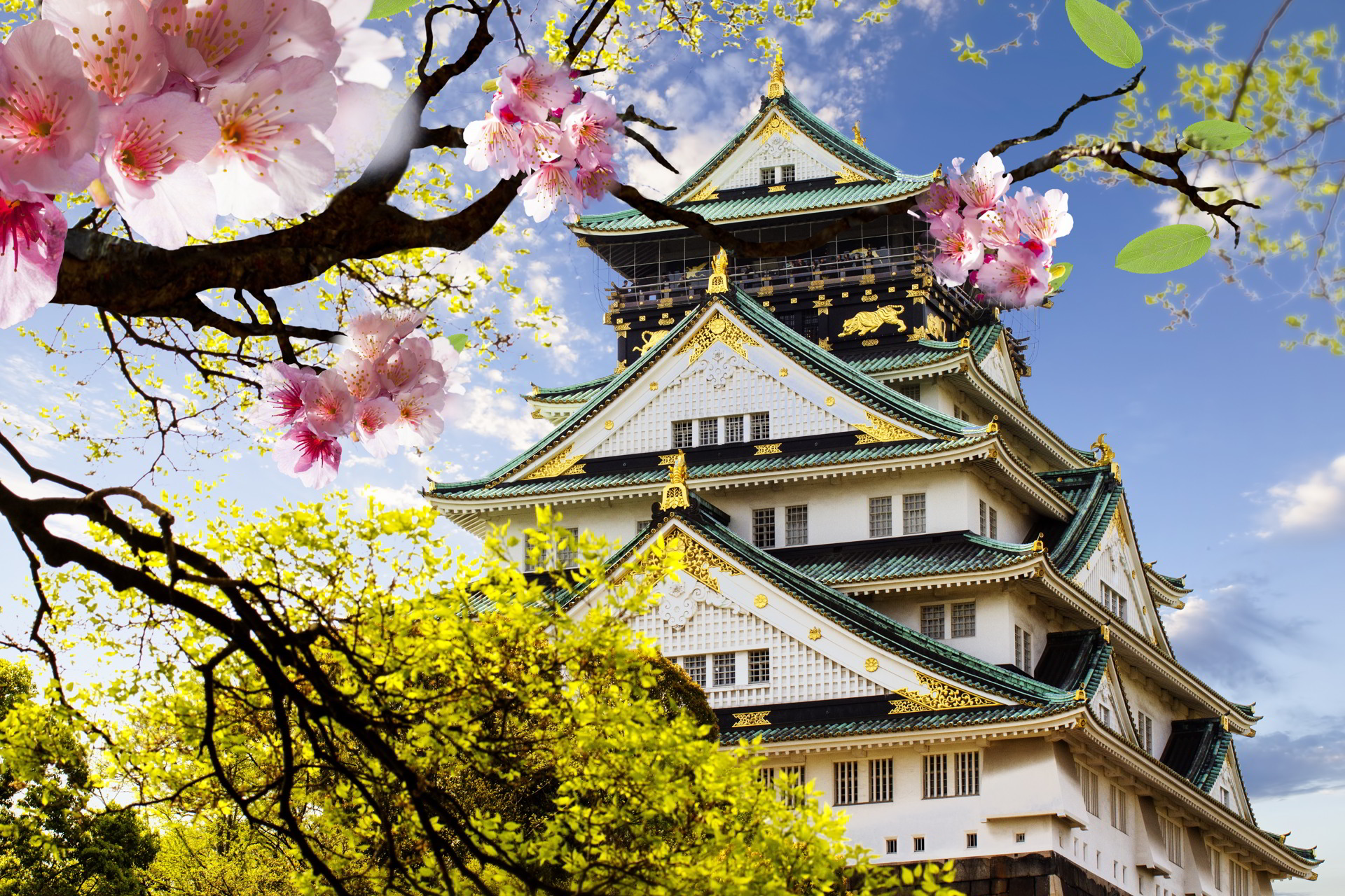 50 Hình nền hoa anh đào đẹp nhất của đất nước Nhật Bản 10