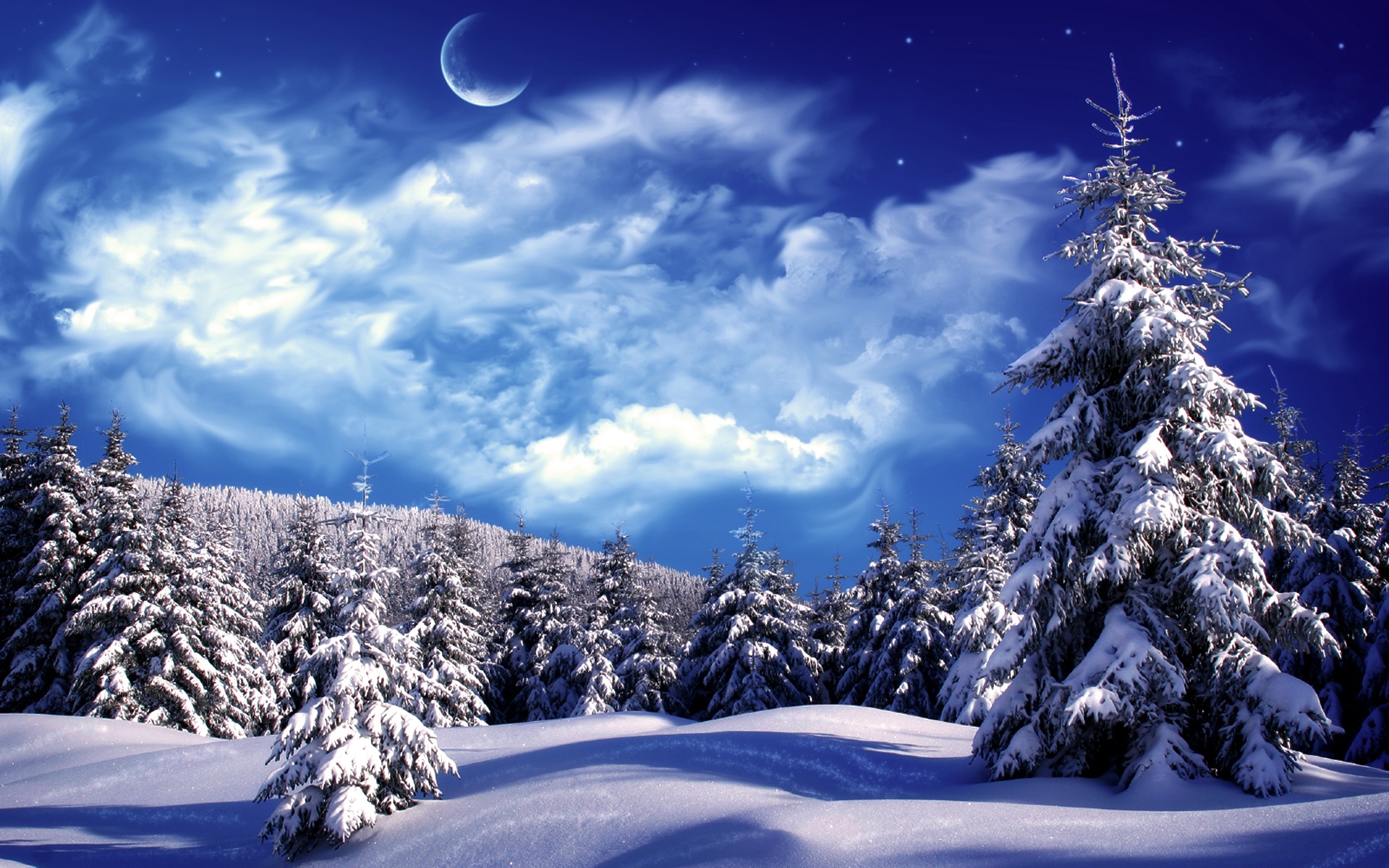 Tuyết Rơi Với Phong Cảnh Mùa Đông Nền Bạc Hình minh họa Sẵn có - Tải xuống Hình  ảnh Ngay bây giờ - Lễ giáng sinh, Ảnh nền - Chủ đề, Bó hoa - iStock
