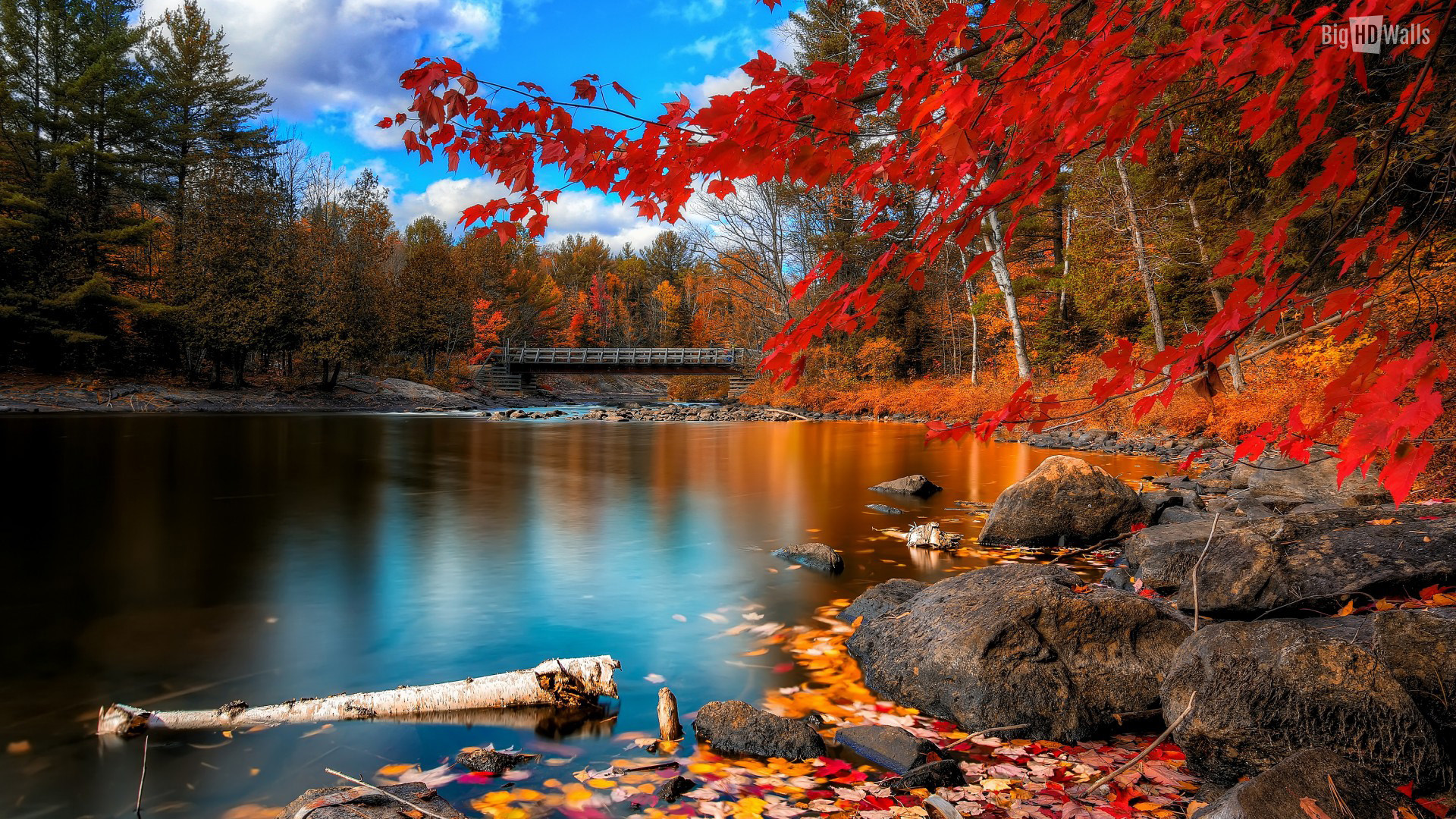 Hình ảnh mùa thu đẹp lãng mạn nhất thế giới Hà Nội Spirit Of Place