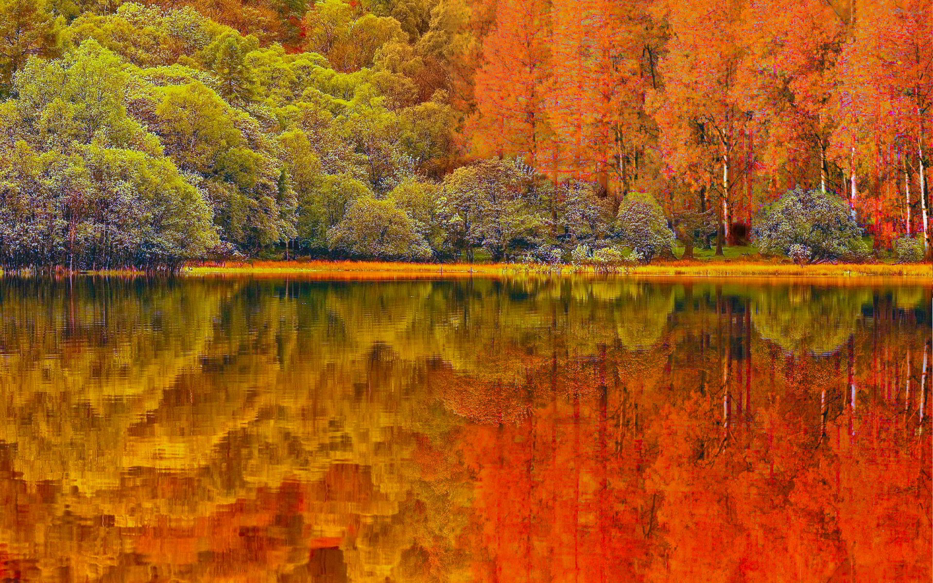 Hình nền đẹp của thiên nhiên khung cảnh mùa thu lãng mạn