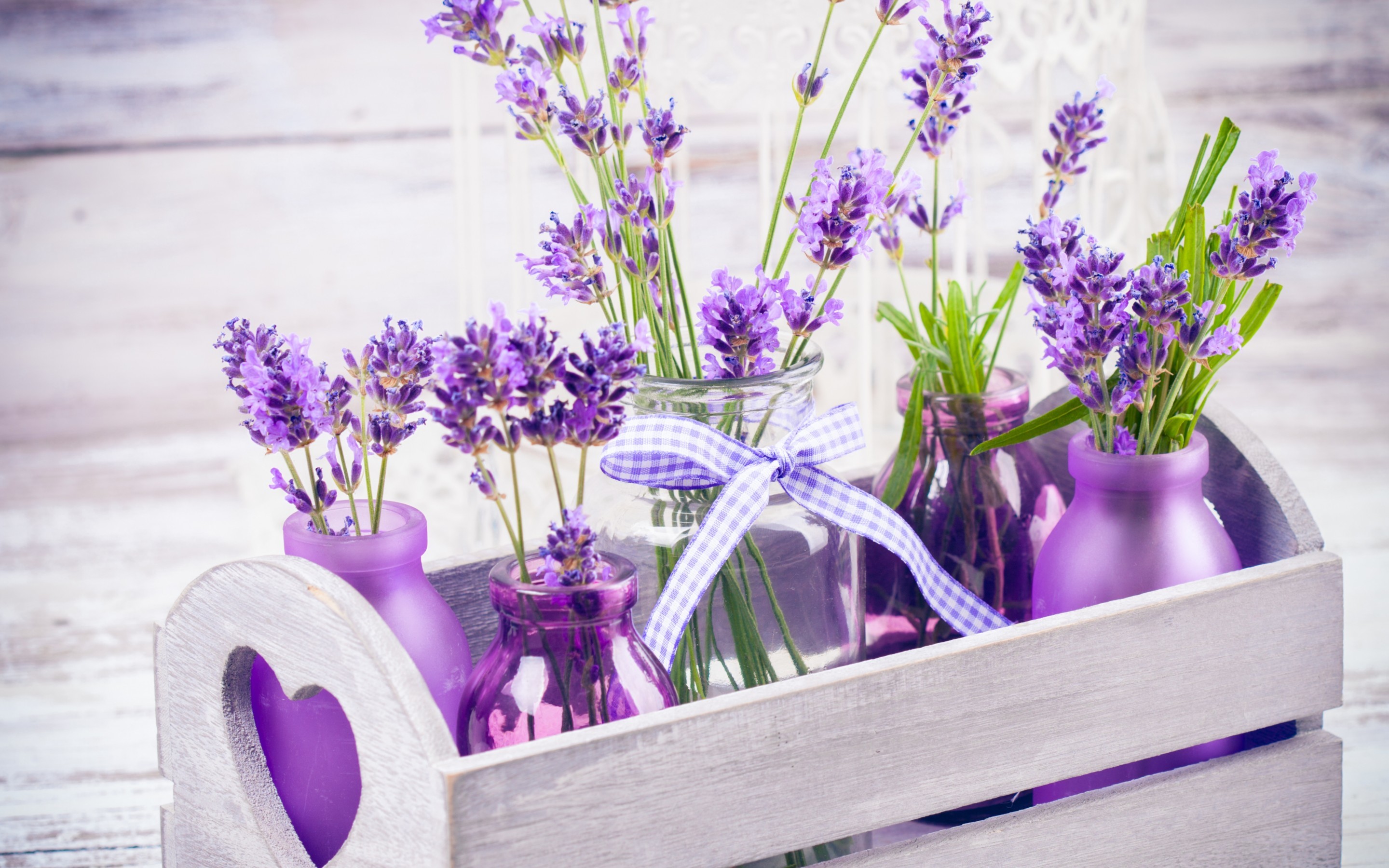 Nếu bạn đang tìm kiếm một món quà tuyệt vời cho tâm hồn và trí não của mình, thì hãy ghé qua các hình ảnh về hoa Lavender tuyệt đẹp này. Hình ảnh Lavender sẽ đưa bạn đến với những cảnh đẹp tươi sáng và hương thơm ngát ngào của loài hoa tuyệt vời này.