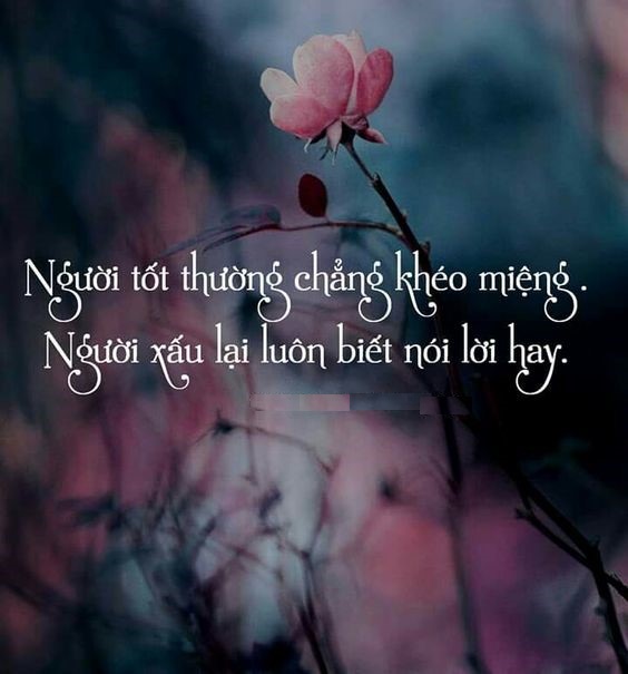 Lời hay ý đẹp về cuộc sống