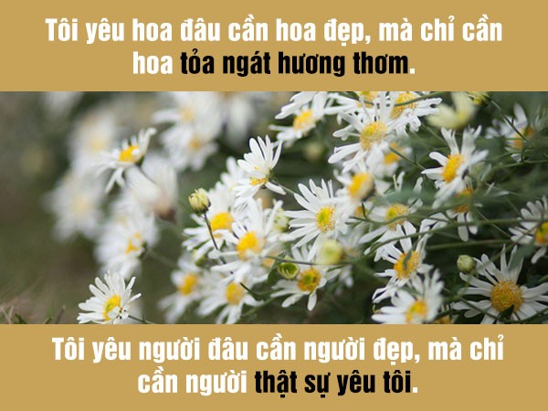 Stt về hoa