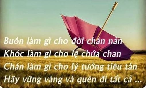 Những câu nói an ủi cho người thất tình