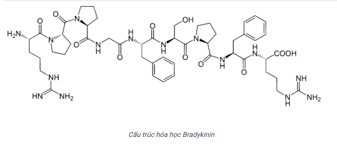 Bradykinin có tác dụng làm giảm huyết áp