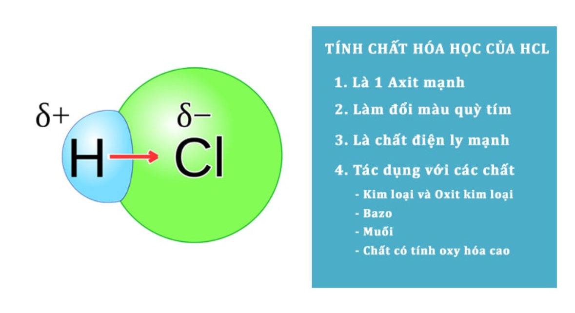 HCl không tác dụng với chất nào