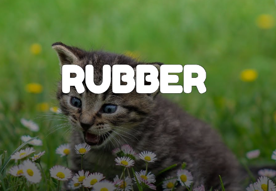Rubber nghĩa là gì