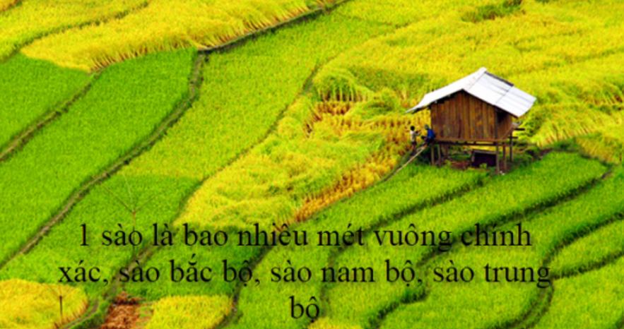 1 sào đất bao nhiêu m2