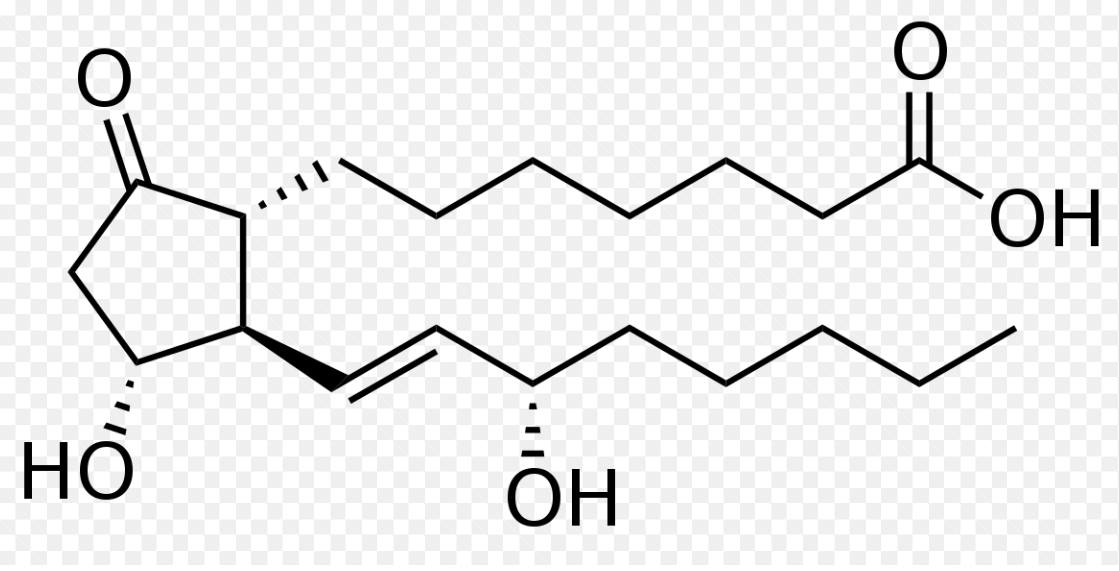 Prostaglandin là gì