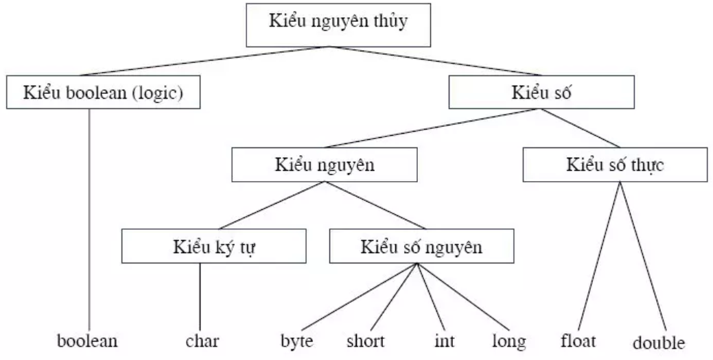 String là kiểu dữ liệu gì? Được ứng dụng như thế nào?