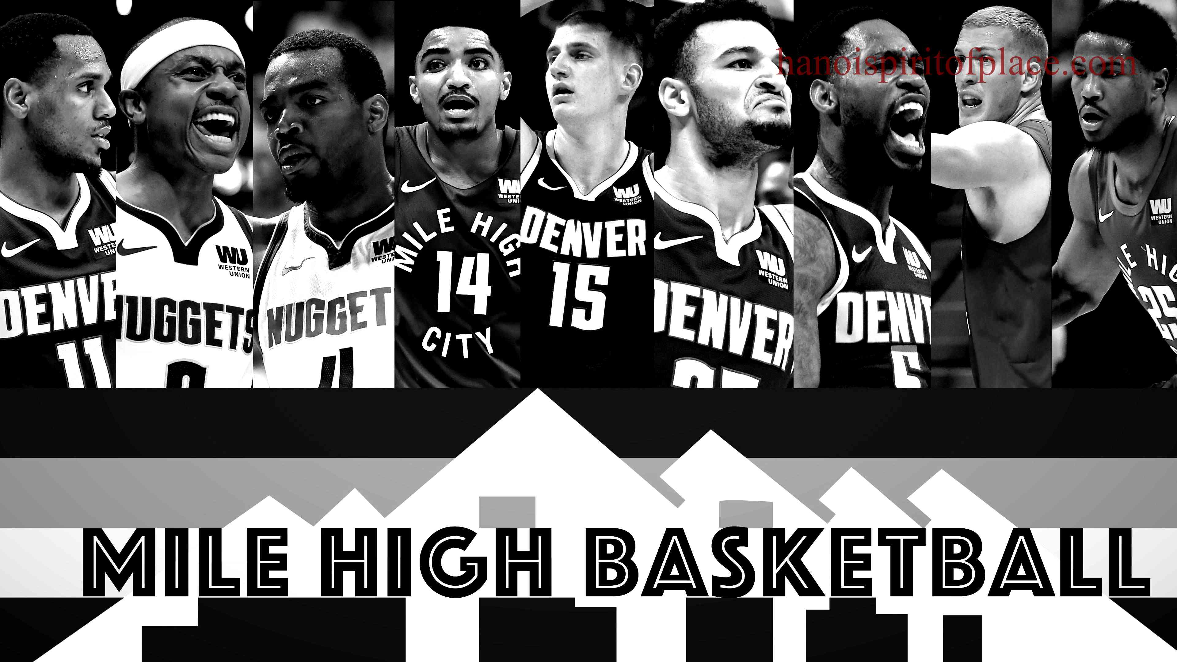 Overview of the Denver Nuggets