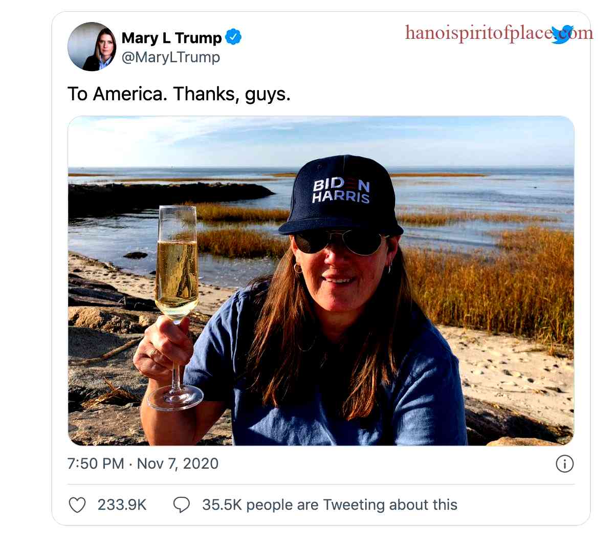 Mary Trump Twitter