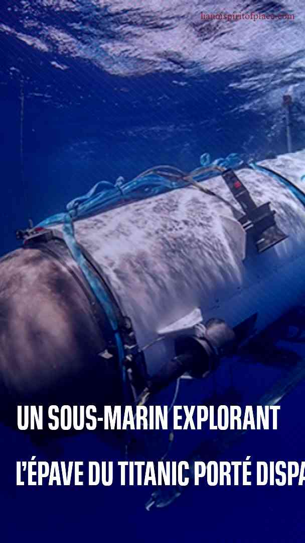 The Incredible Video Sous Marin Footage