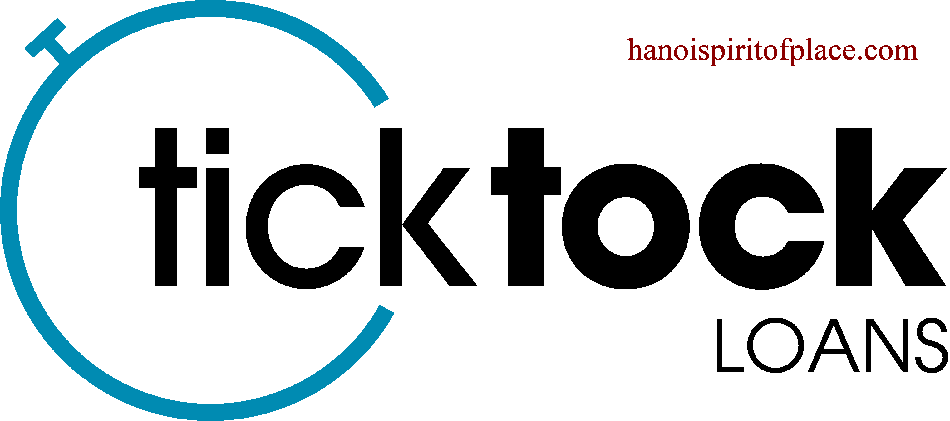 1.1 Overview of TikTok Loans