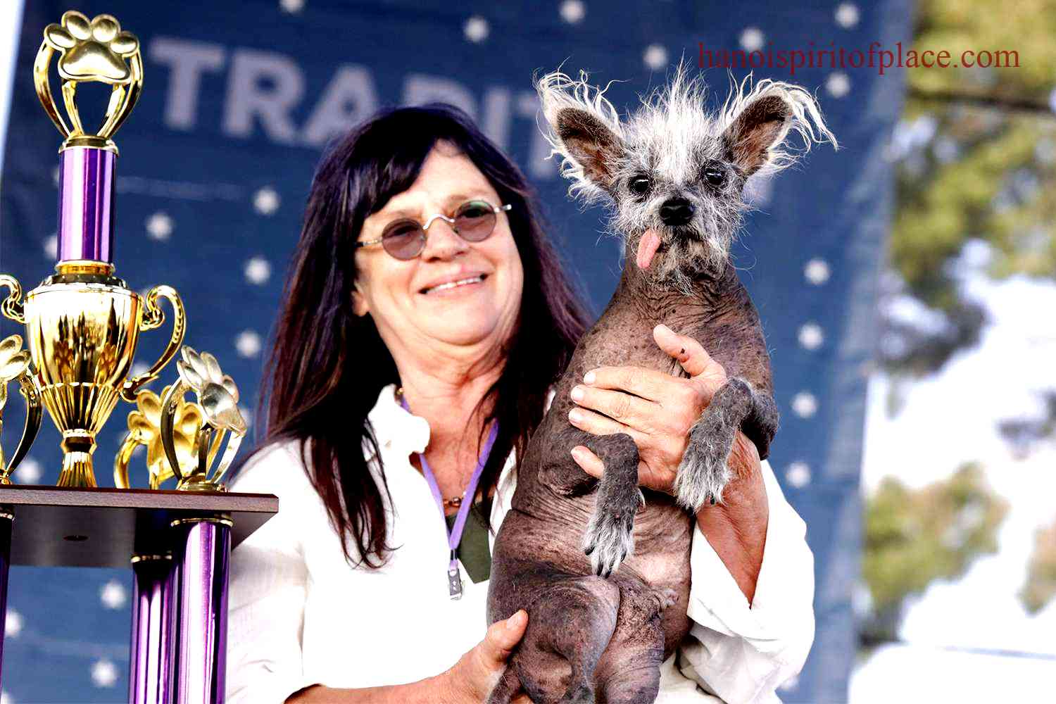 The World's Ugliest Dog Contest