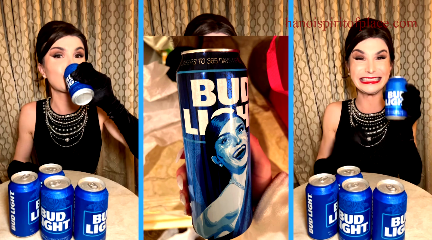Explanation of the Bud Light Trans Video