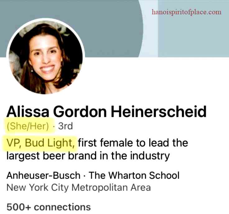 Alissa Heinerscheid LinkedIn: Professional Success and Insights