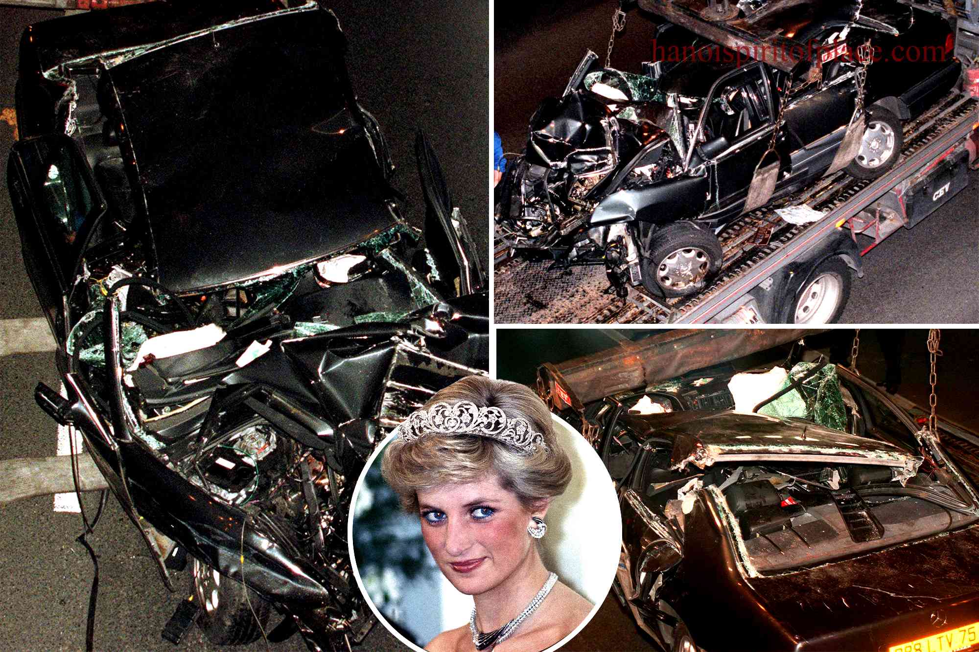 The Sudden Death of Princess Diana