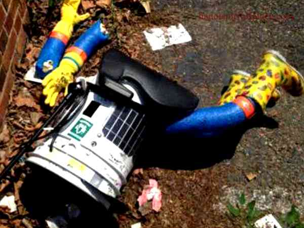 The Journey That Led to Hitchbot's Demise