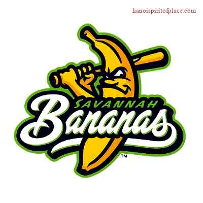 1.1 About Savannah Bananas