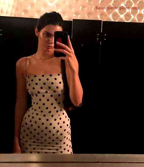 Kendall Jenner Pregnant Instagram? Get the Latest Scoop