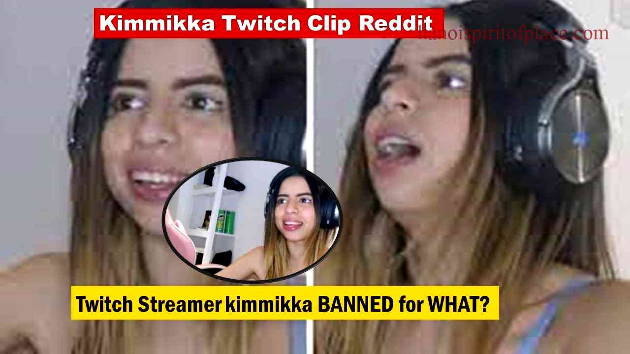 Overview of the Kimmikka Twitch Ban Clip on Reddit