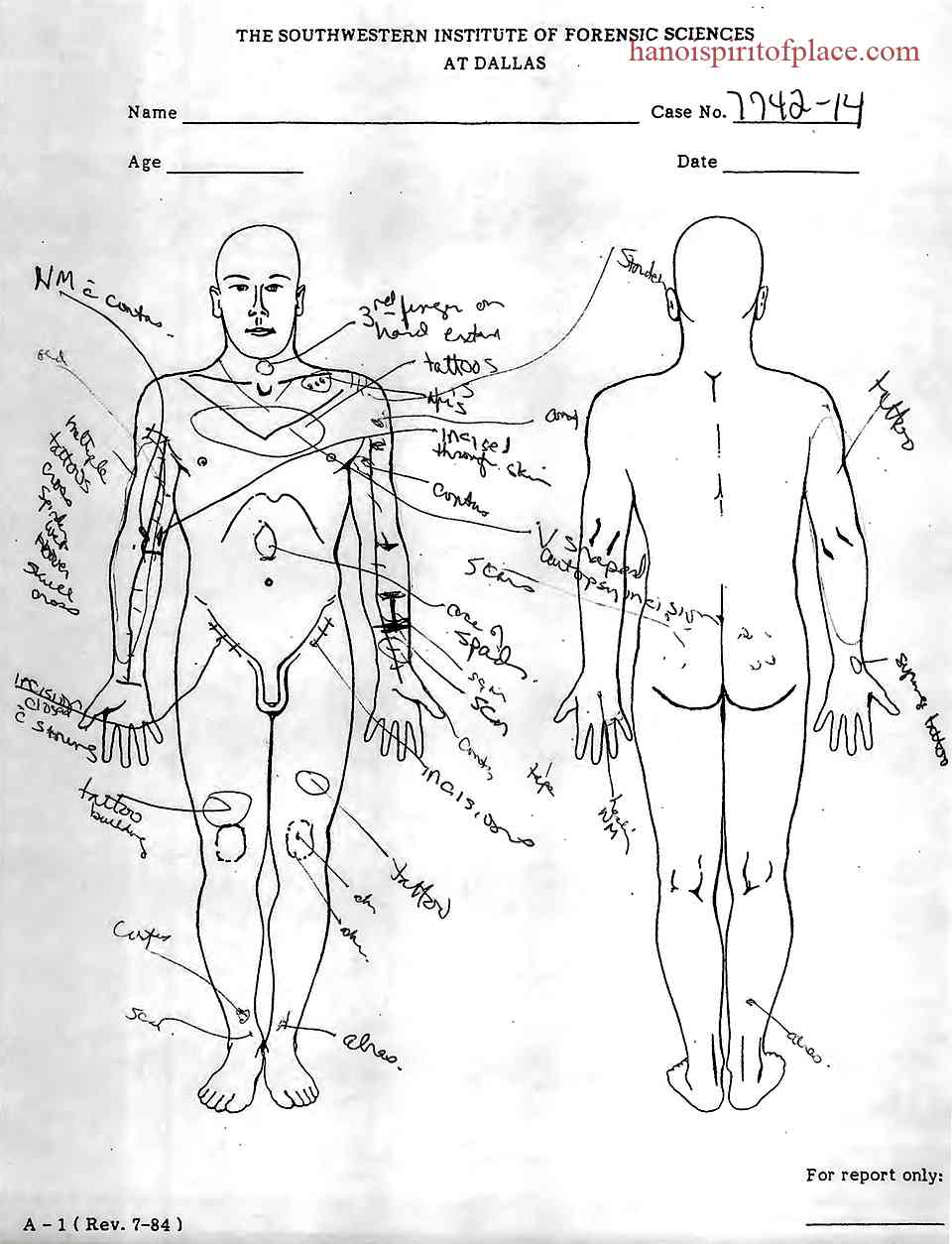 Implications of the Report