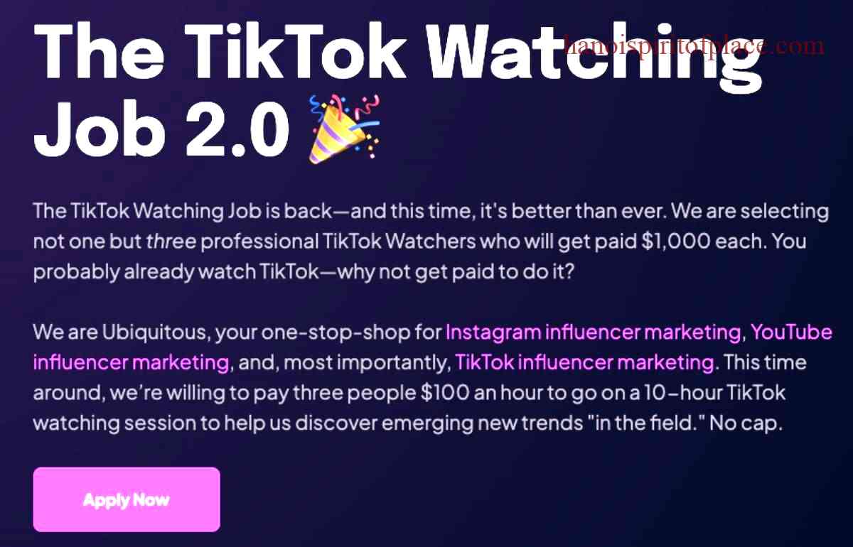 Overview of the Ubiquitous TikTok Watching Job