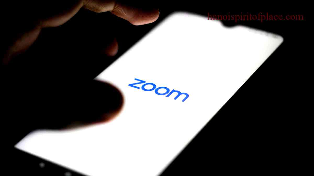 Explanation of Zoom Video Settlement