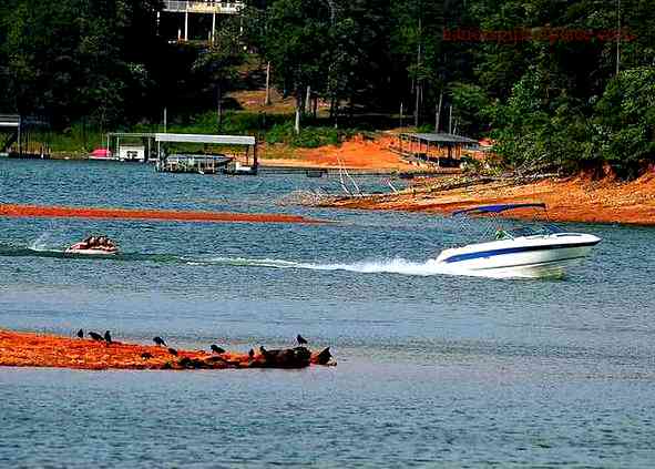 Overview of Lake Lanier's popularity