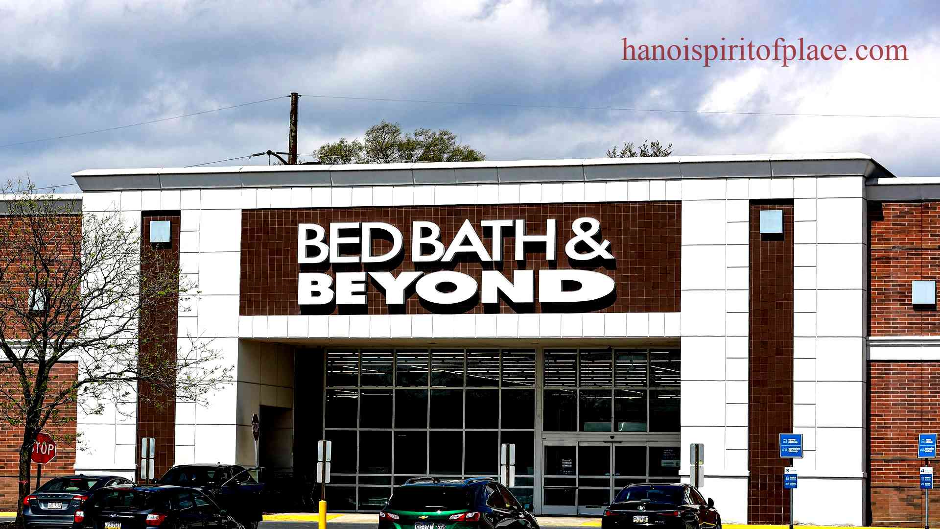 Overstock Bed Bath Beyond: Affordable Home Essentials!